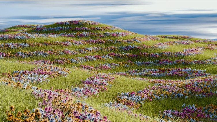 bloom